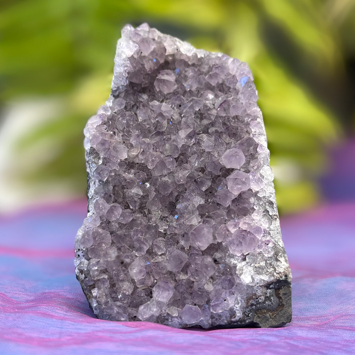 Amethyst Base Cut | Carpe Diem WIth Remi