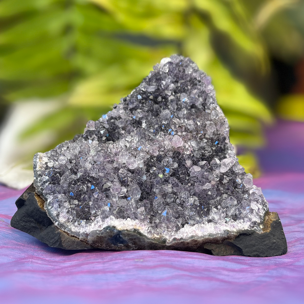 Amethyst Base Cut | Carpe Diem WIth Remi