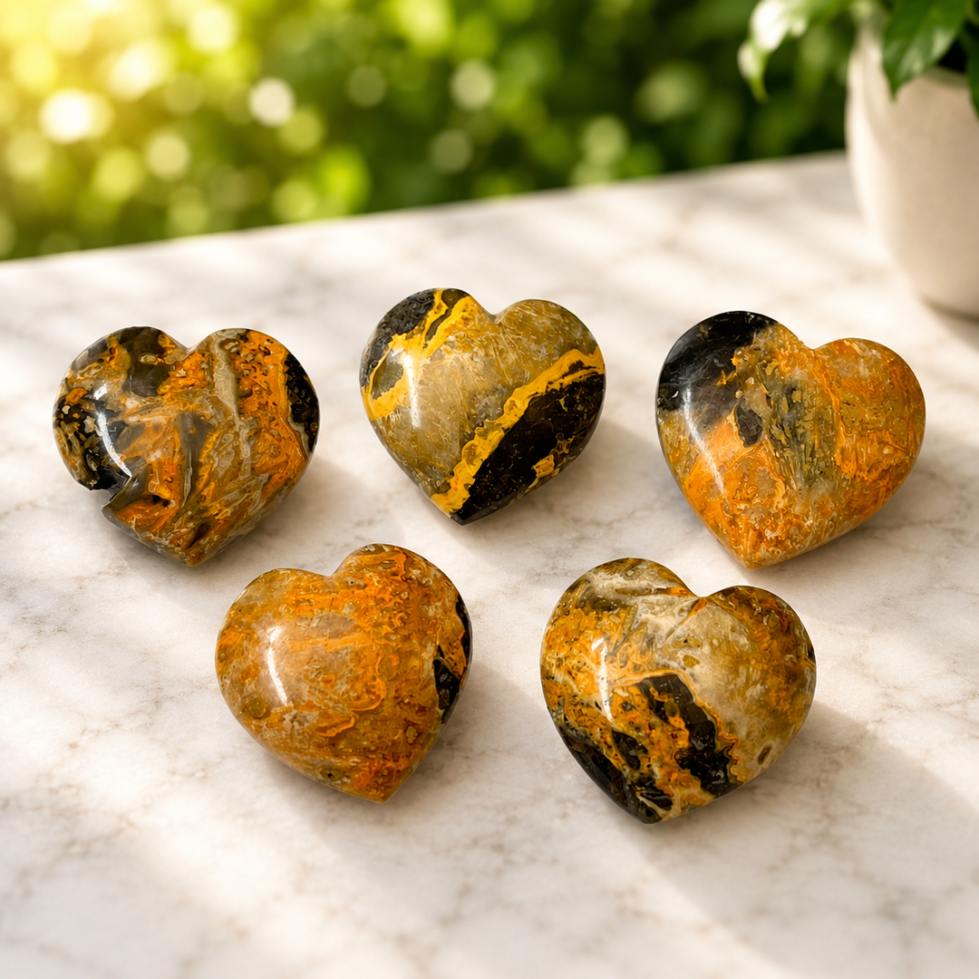 Heart Bumblebee Jasper