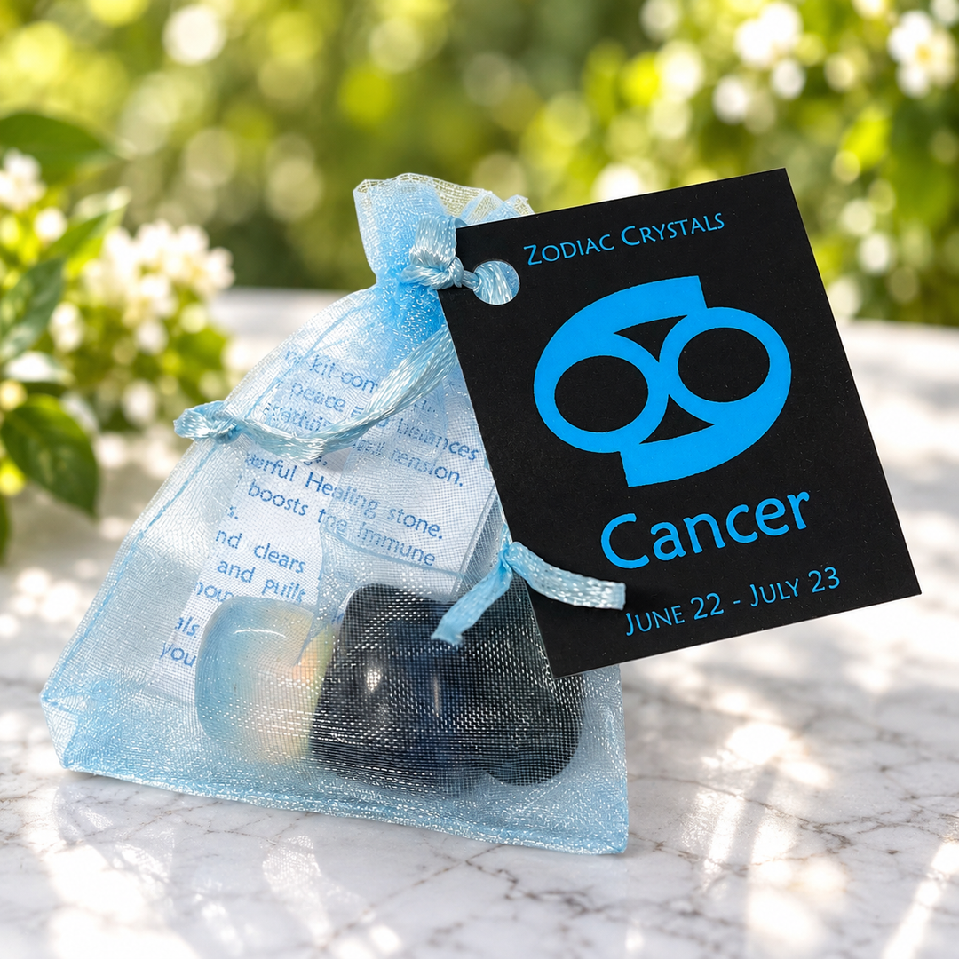 Cancer Zodiac Kit | Carpe Diem With Remi