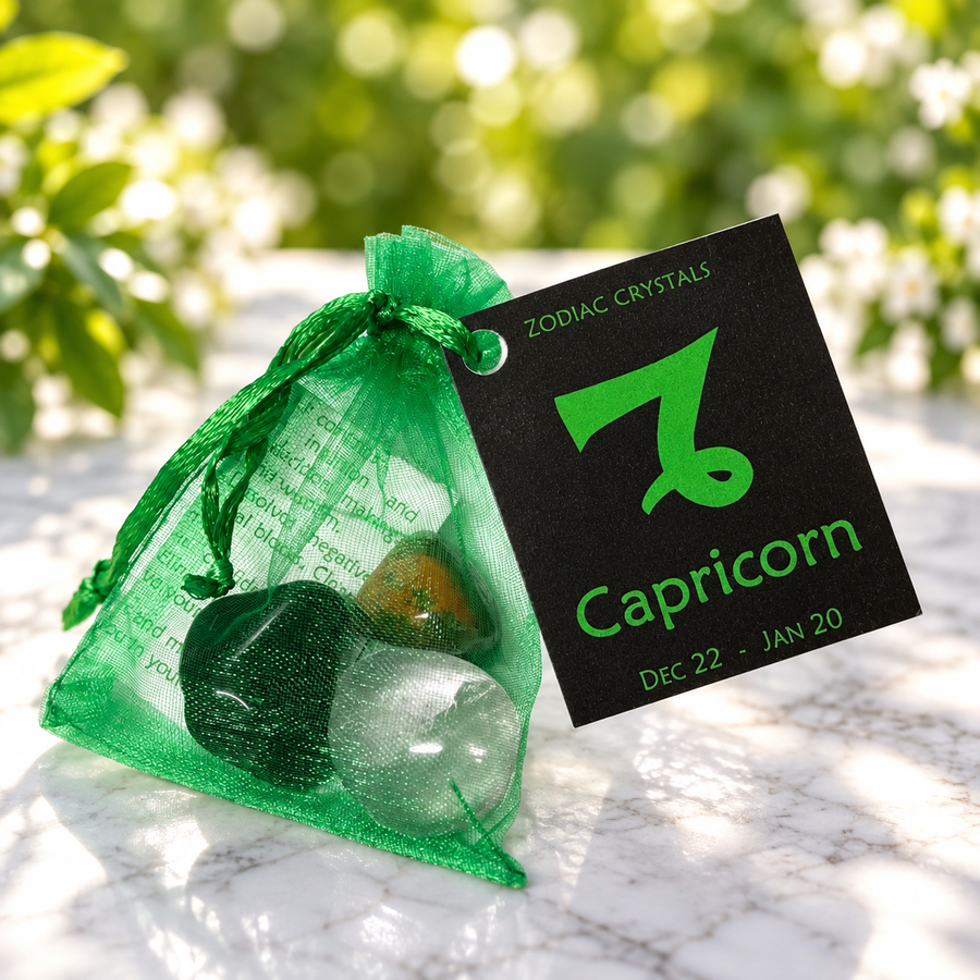 Capricorn Zodiac Kit | Carpe Diem With Remi