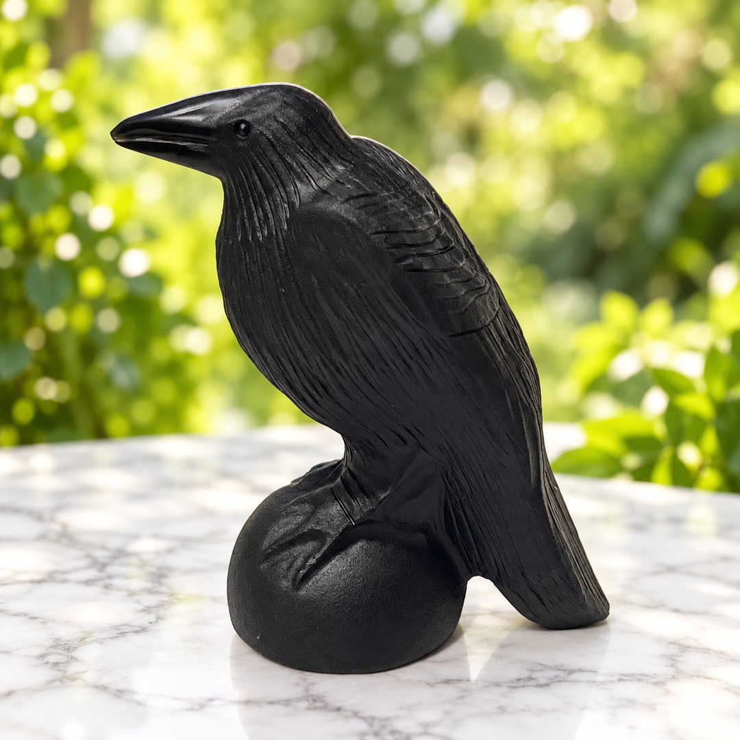 Raven Black Obsidian 12 cm