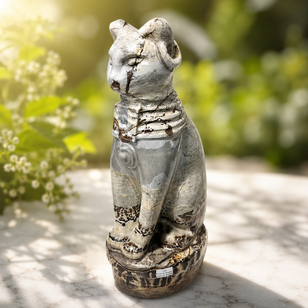 Cat Picture Jasper
