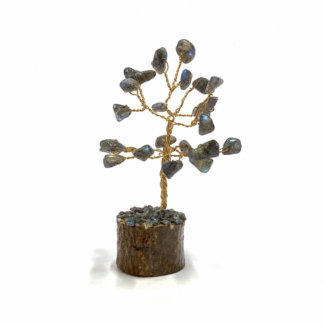 Crystal Tree Labradorite Wooden Base 24 Chip