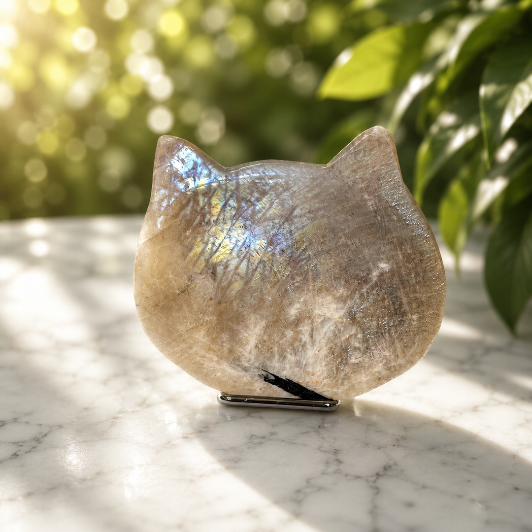 Bowl Rainbow Moonstone Cat on Stand | Carpe Diem With Remi