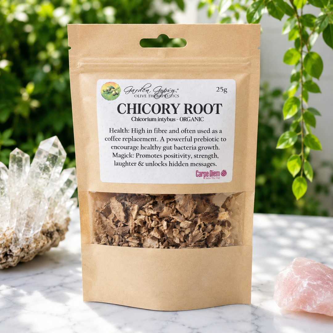 Herb Chicory Root Organic 25g
