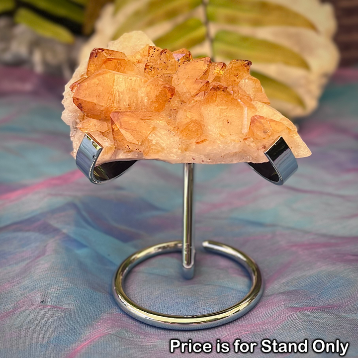 Stand for Heart or Slice | Carpe Diem With Remi