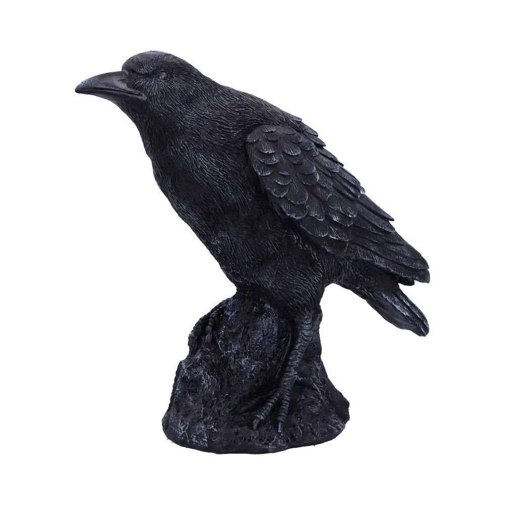 Raven Messenger Figurine 25 cm | Carpe Diem with Remi
