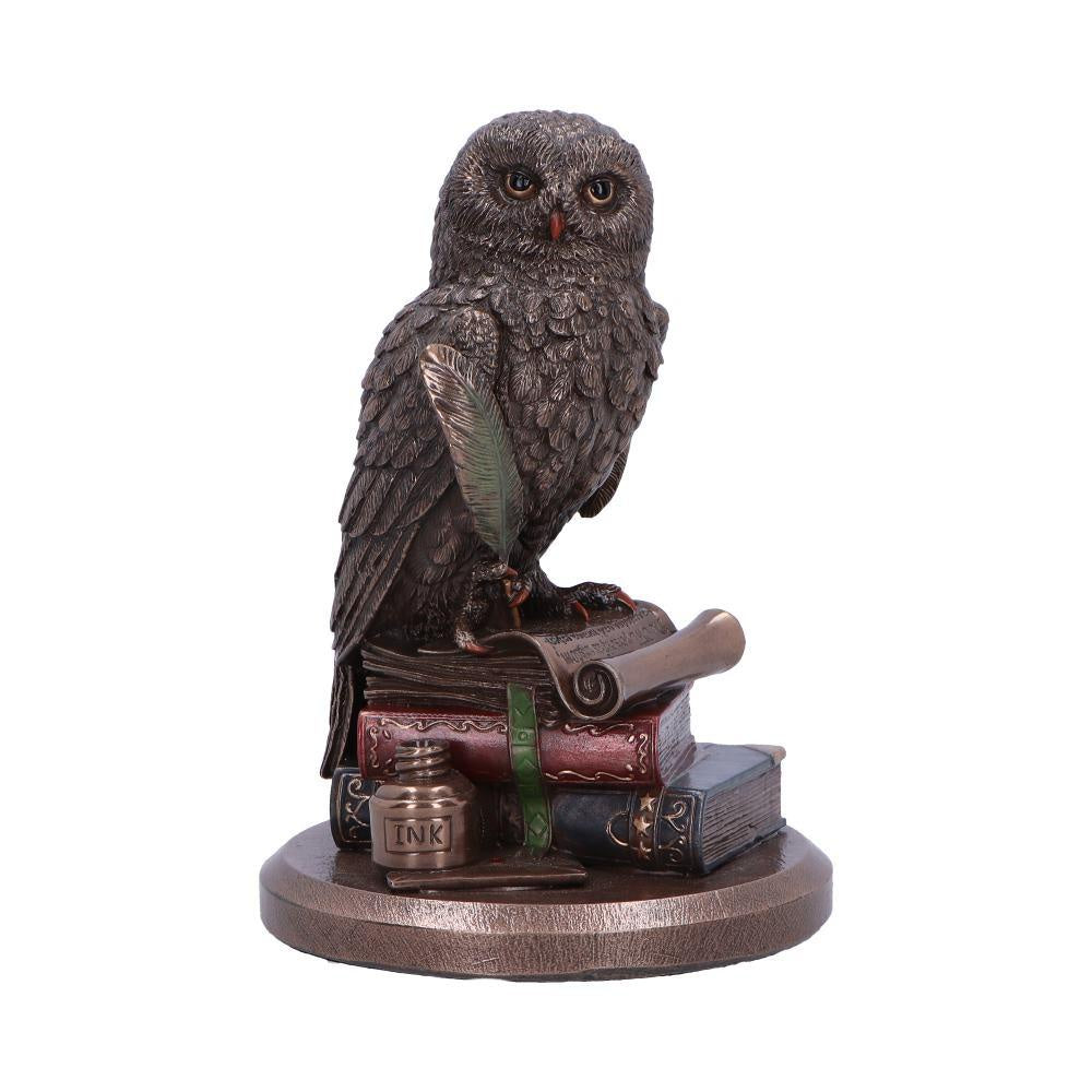 An Owls Tale Bronze Figurine 14.5 cm