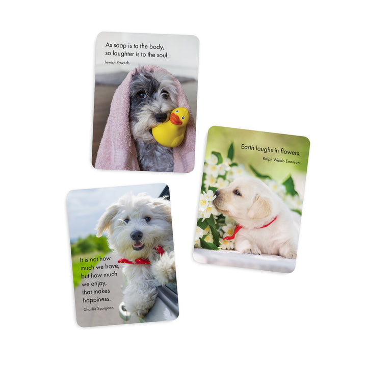 Live Love Bark Affirmation Cards