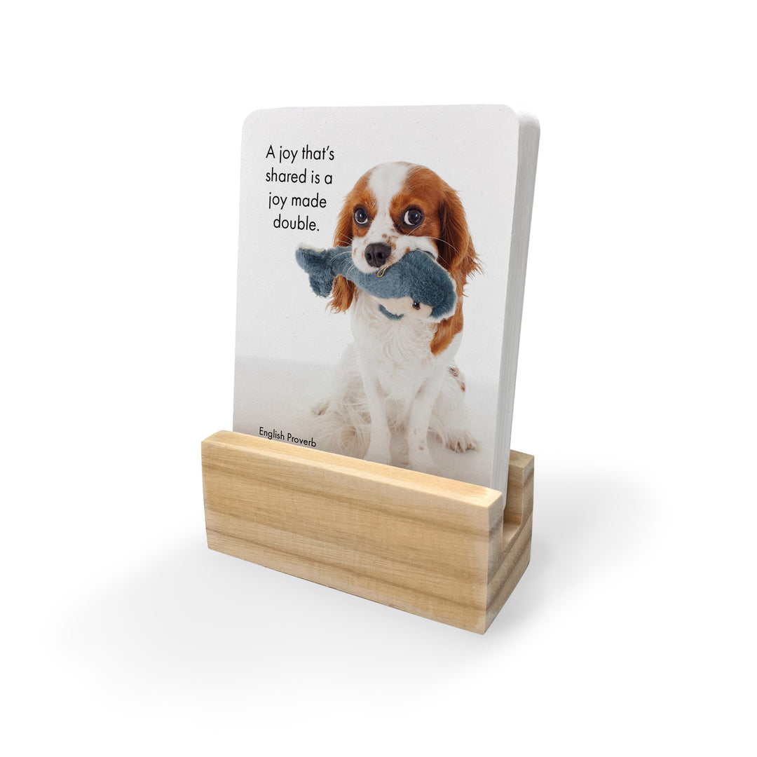 Live Love Bark Affirmation Cards