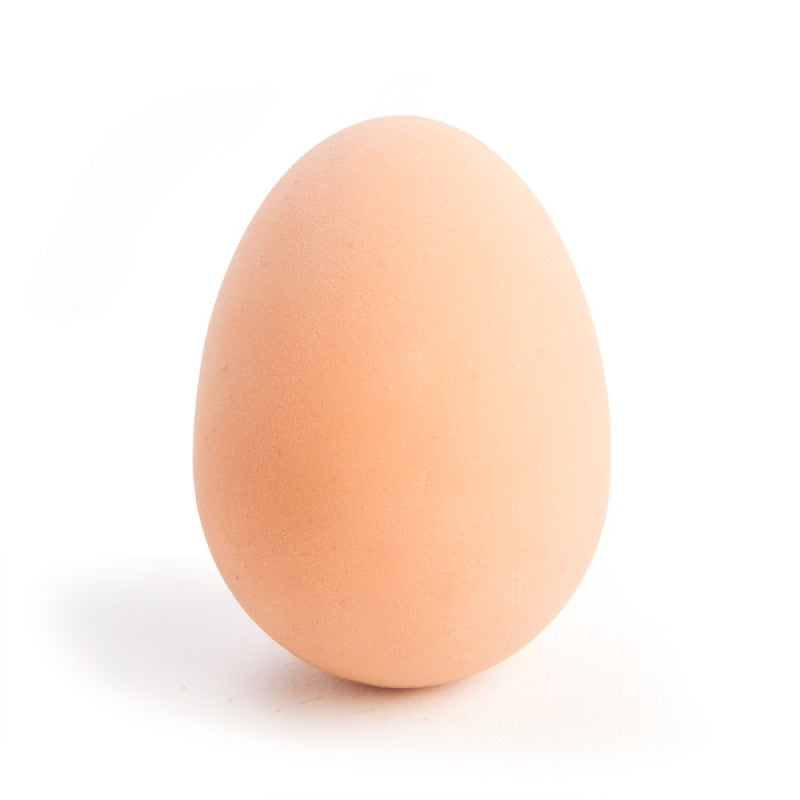 Bouncing Egg Toy