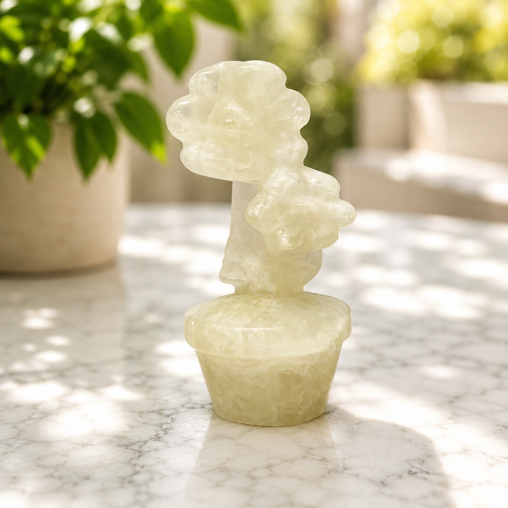 Flower Pot Sunflower | New Jade | Carpe Diem With Remi