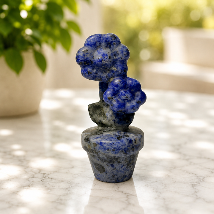 Flower Pot Sunflower | Sodalite | Carpe Diem With Remi