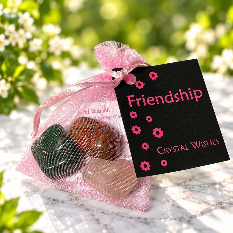 Friendship Wish Kit | Carpe Diem With Remi