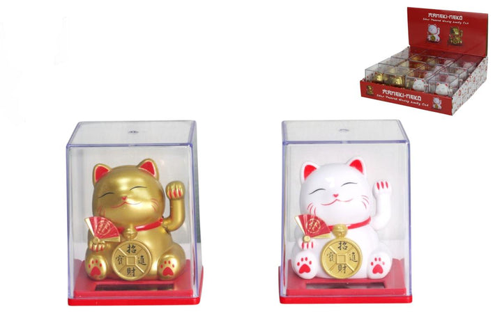 Grooving Cat 6 cm