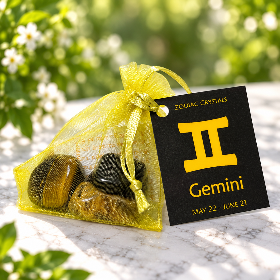 Gemini Zodiac Kit | Carpe Diem With Remi