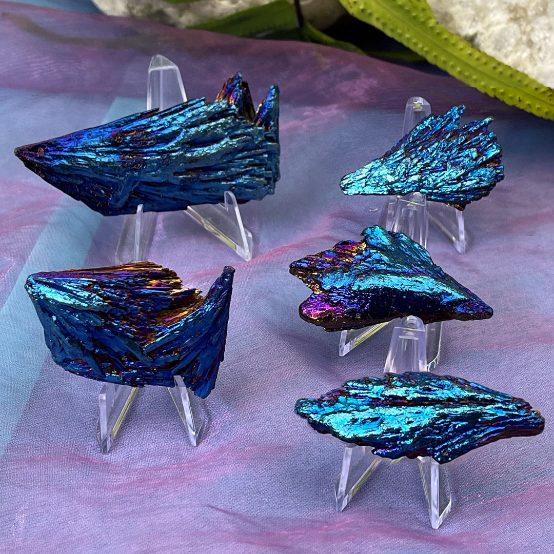 Kyanite Rainbow Titanium Pieces | Carpe Diem With Remi