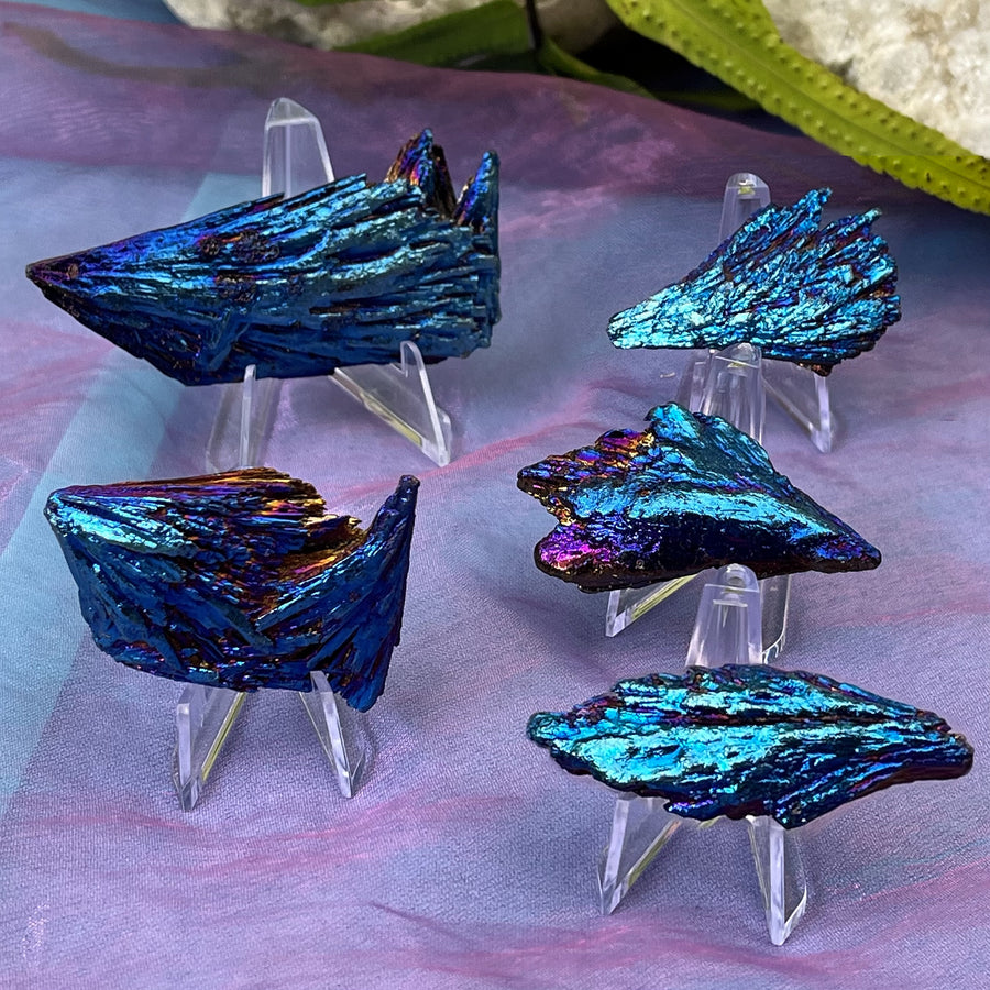Kyanite Rainbow Titanium Pieces | Carpe Diem With Remi