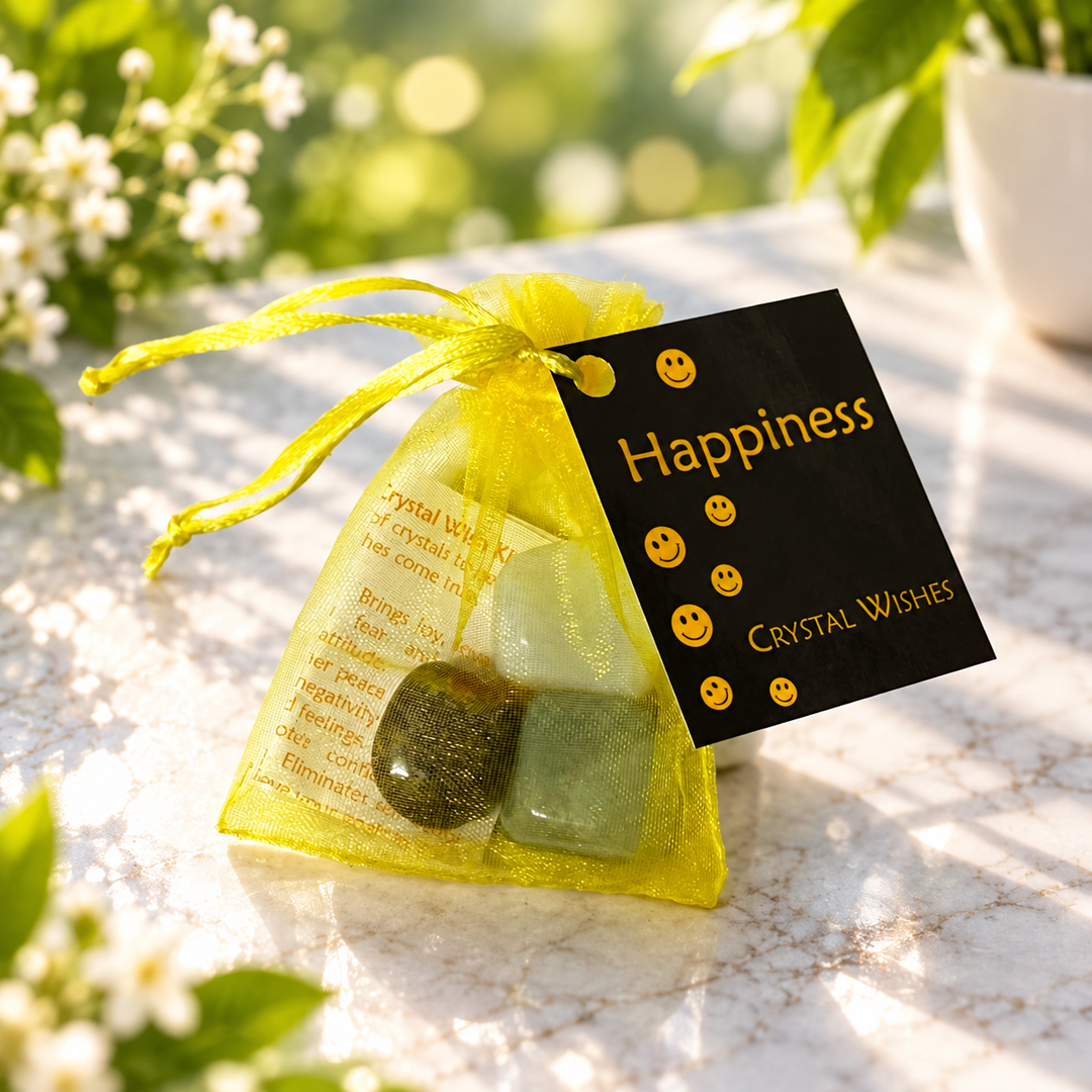 Happiness Wish Kit | Carpe Diem WIth Remi