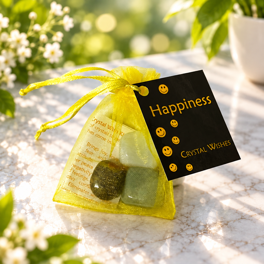 Happiness Wish Kit | Carpe Diem WIth Remi