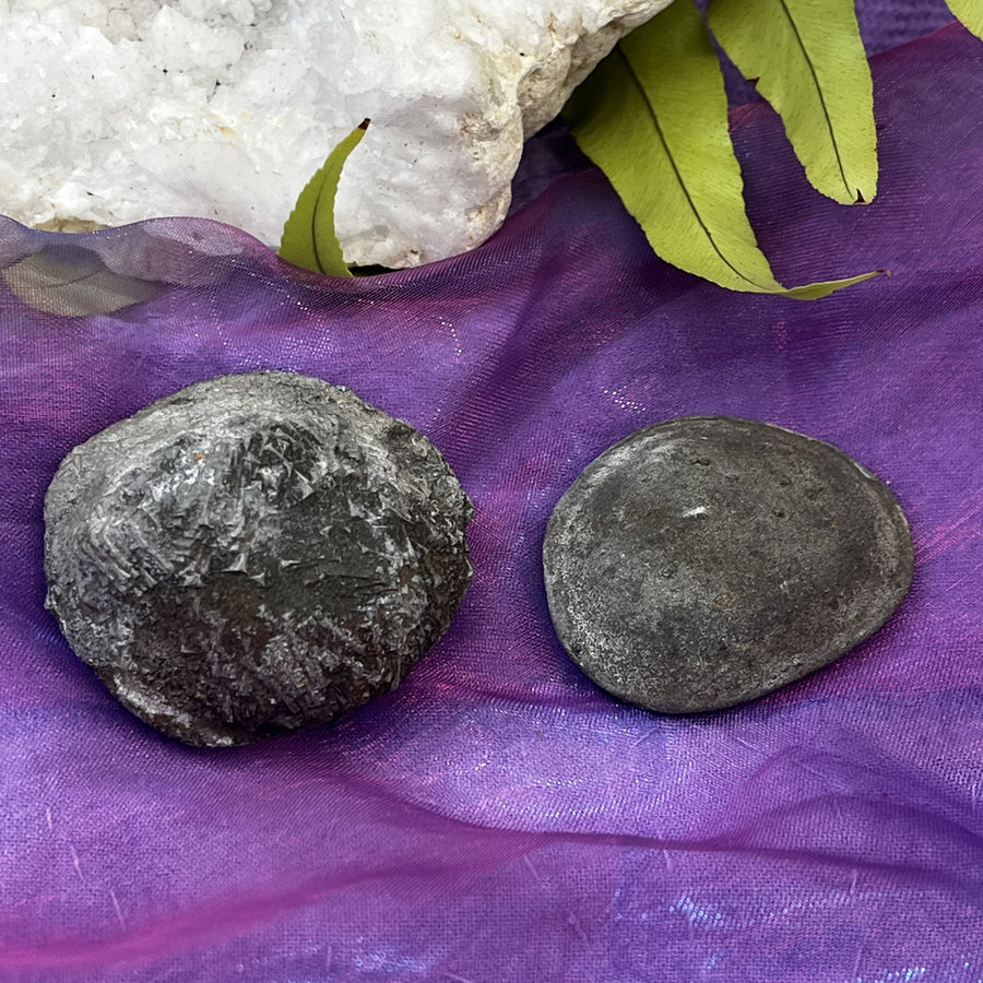 Boji Stone Pair | Carpe Diem With Remi