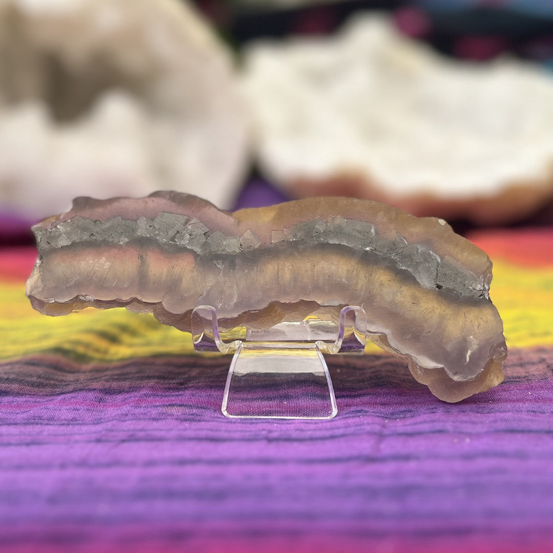 Slice Rabbit Hair Fluorite Barite and Marcasite