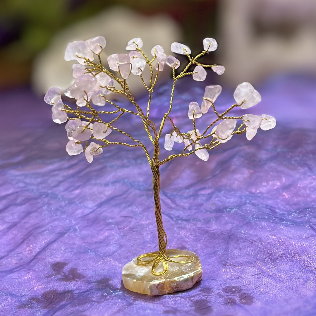 Crystal Tree Rose Quartz Agate Base 50 Chip