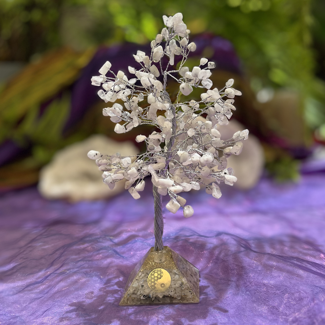 Crystal Tree Rainbow Moonstone Organite Base 300 Chip