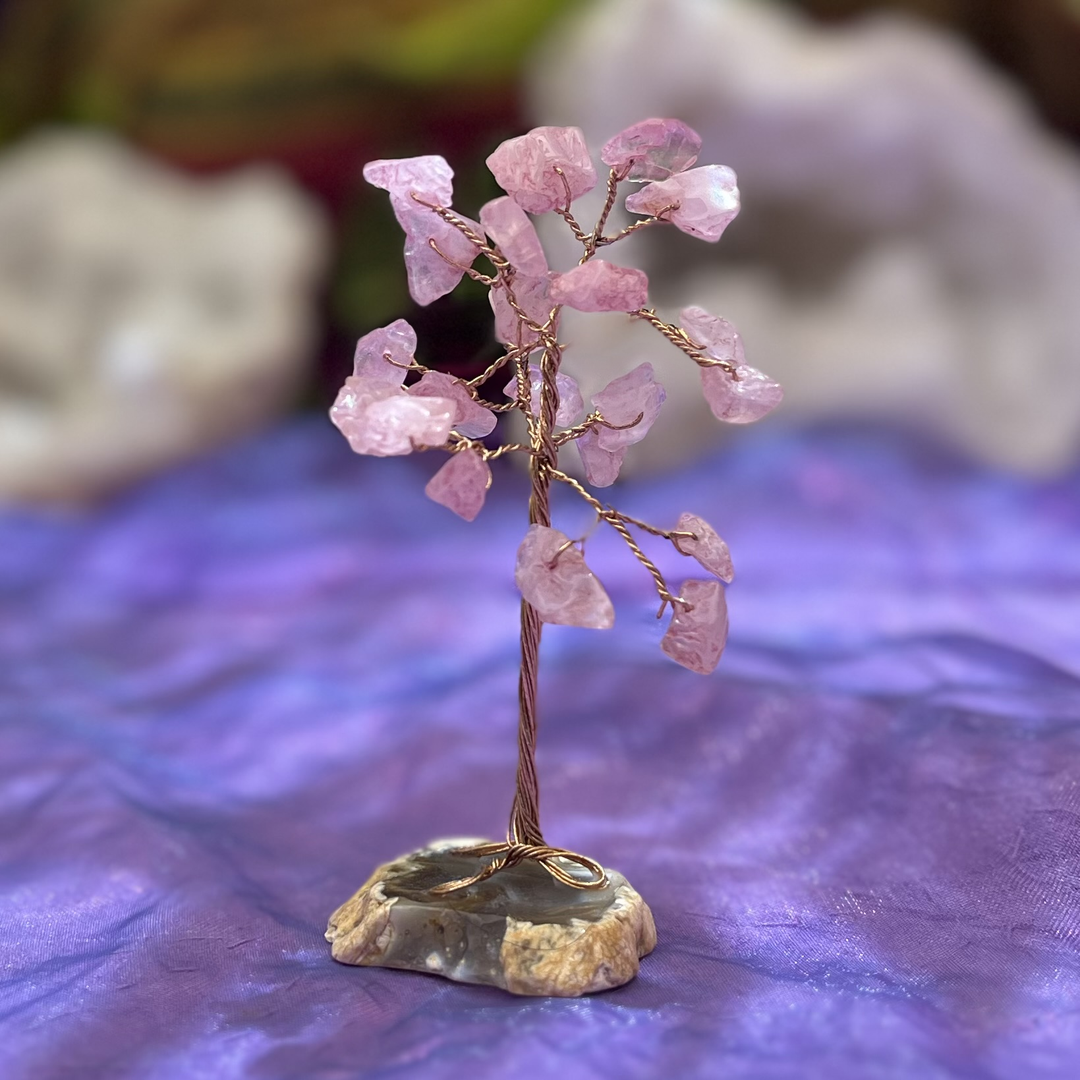Crystal Tree Rose Quartz Agate Base 24 Chip