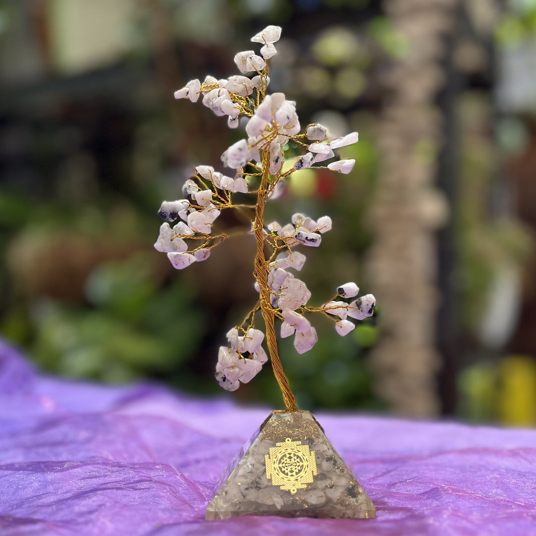 Crystal Tree Rainbow Moonstone 100 Chip