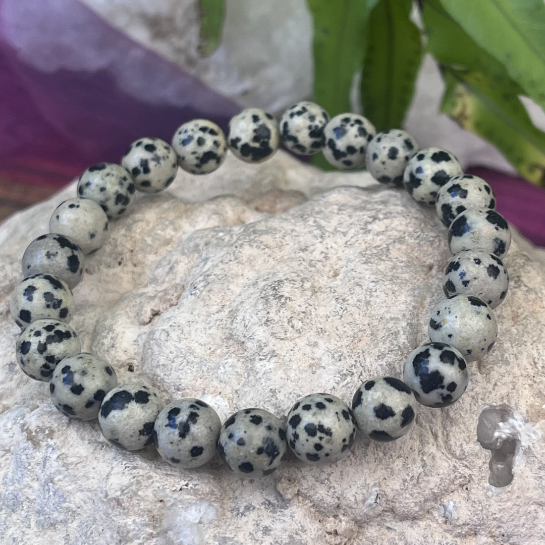 Bracelet Dalmation Jasper 8 mm Beads