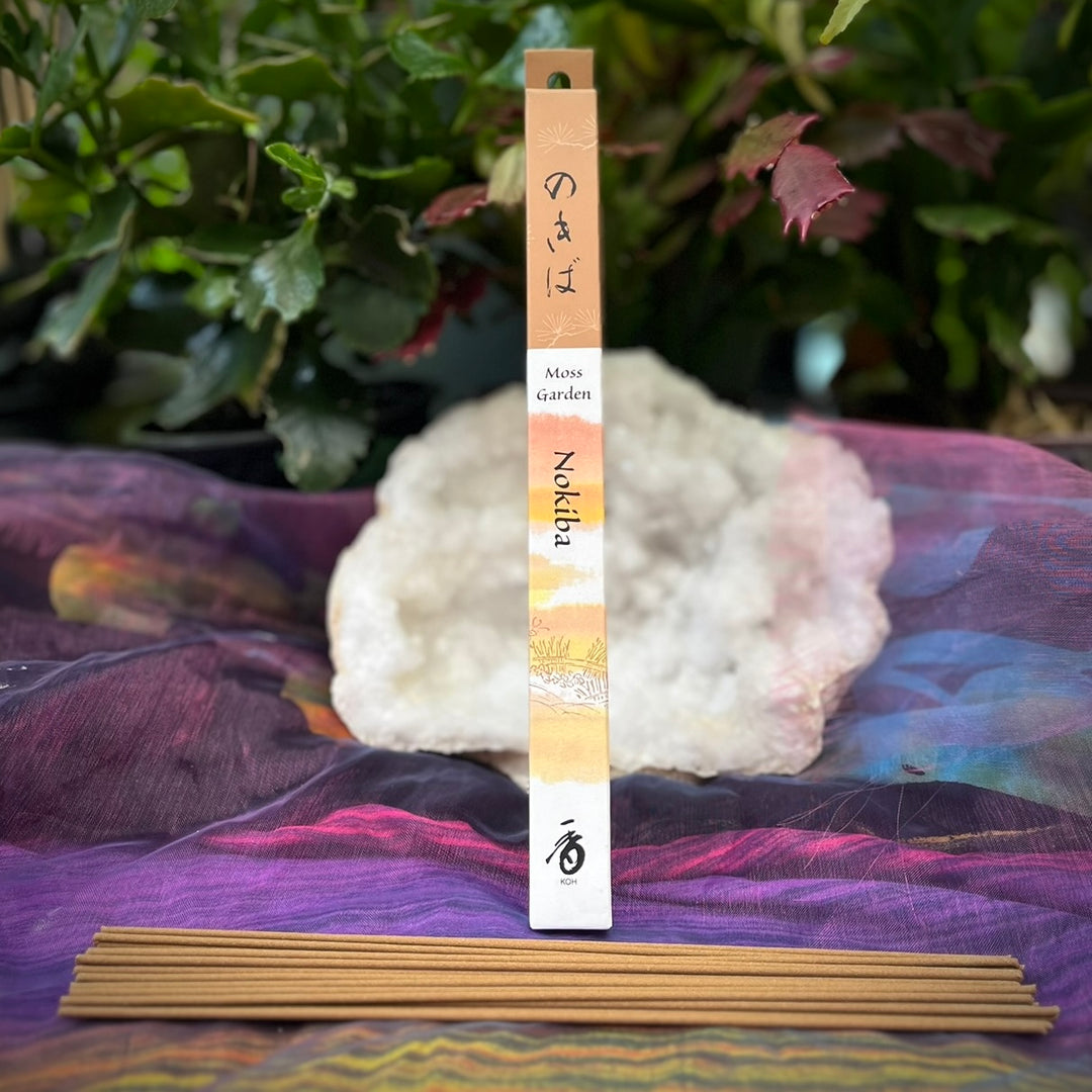 Japanese Incense Moss Garden | Carpe Diem With Remi