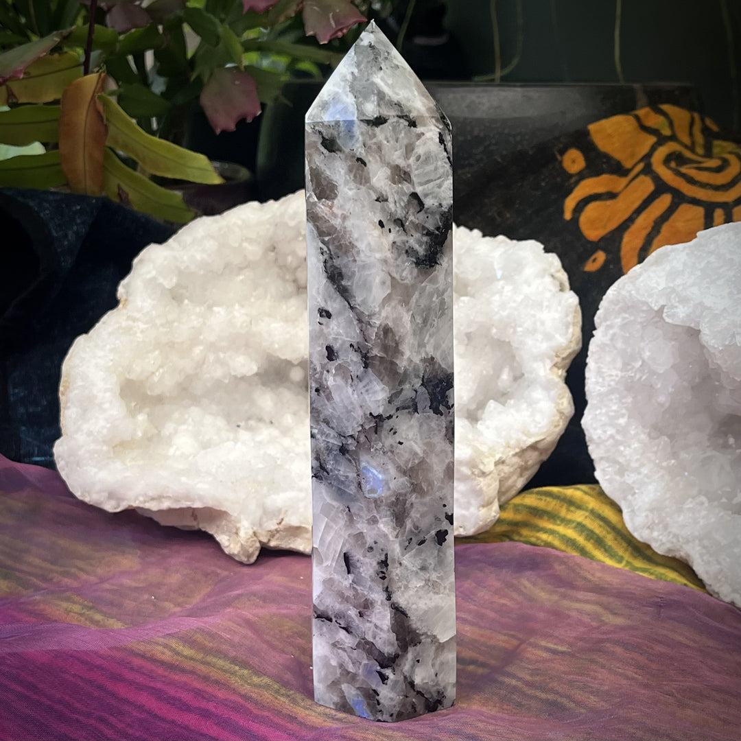 Tower Moonstone XL 17.5 cm