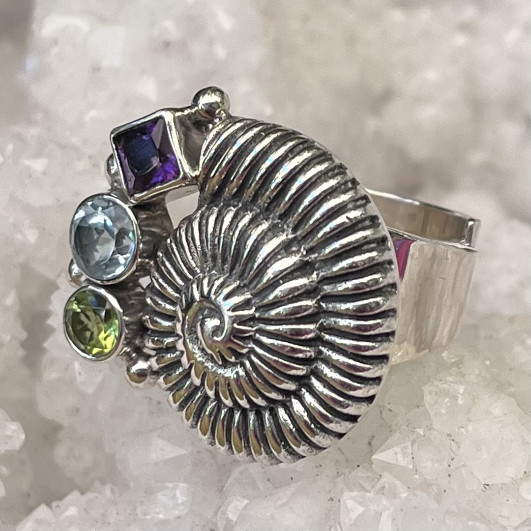 Ring Shell with Faceted Crystals