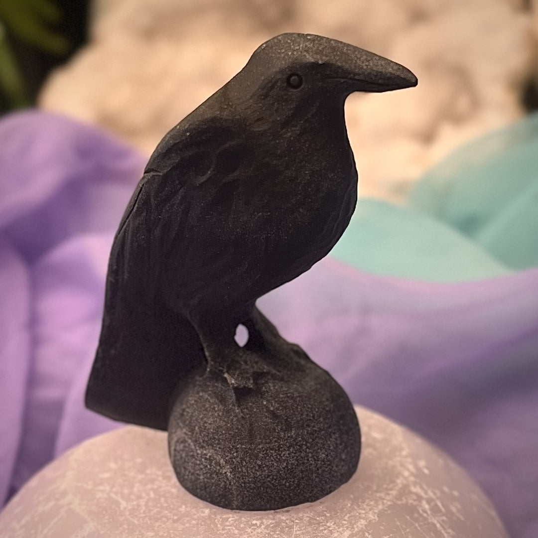 Raven Black Obsidian 8.1 cm
