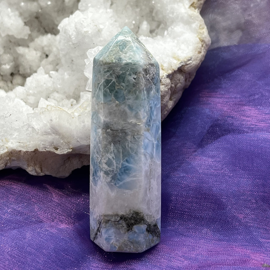 Point Larimar | Carpe Diem With Remi Port Adelaide