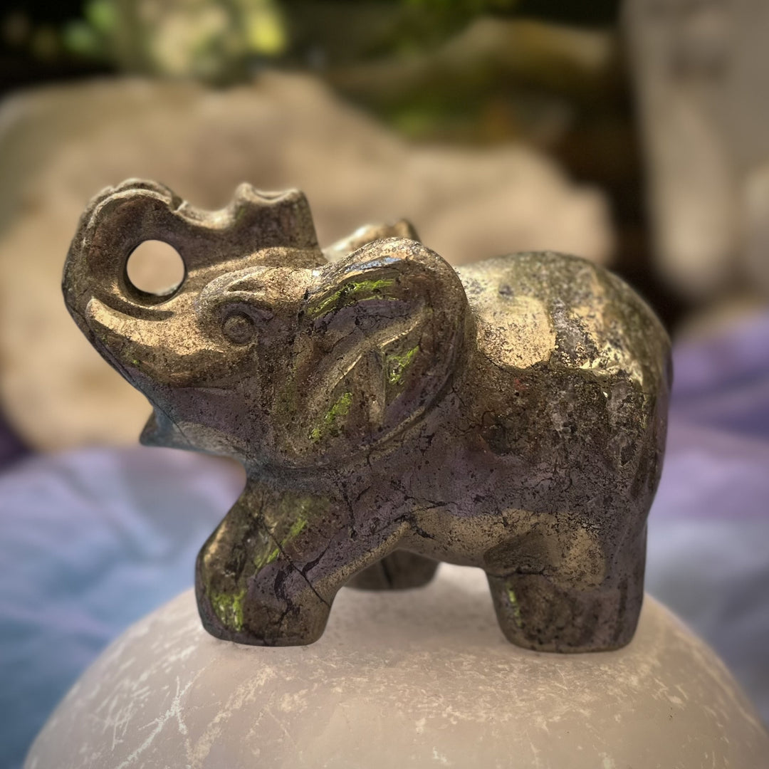 Elephant Pyrite 7.9 cm