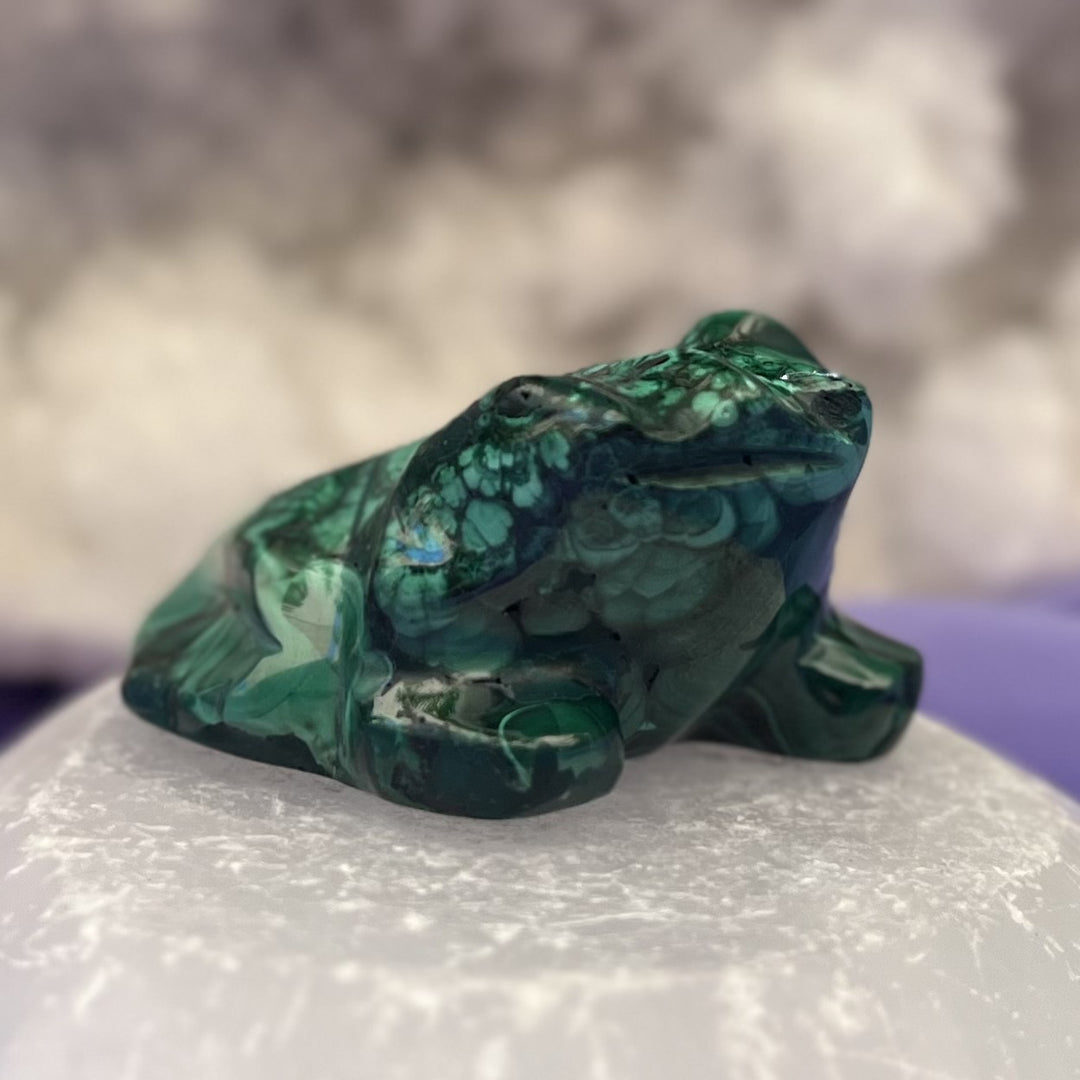 Frog Malachite 4.8 cm