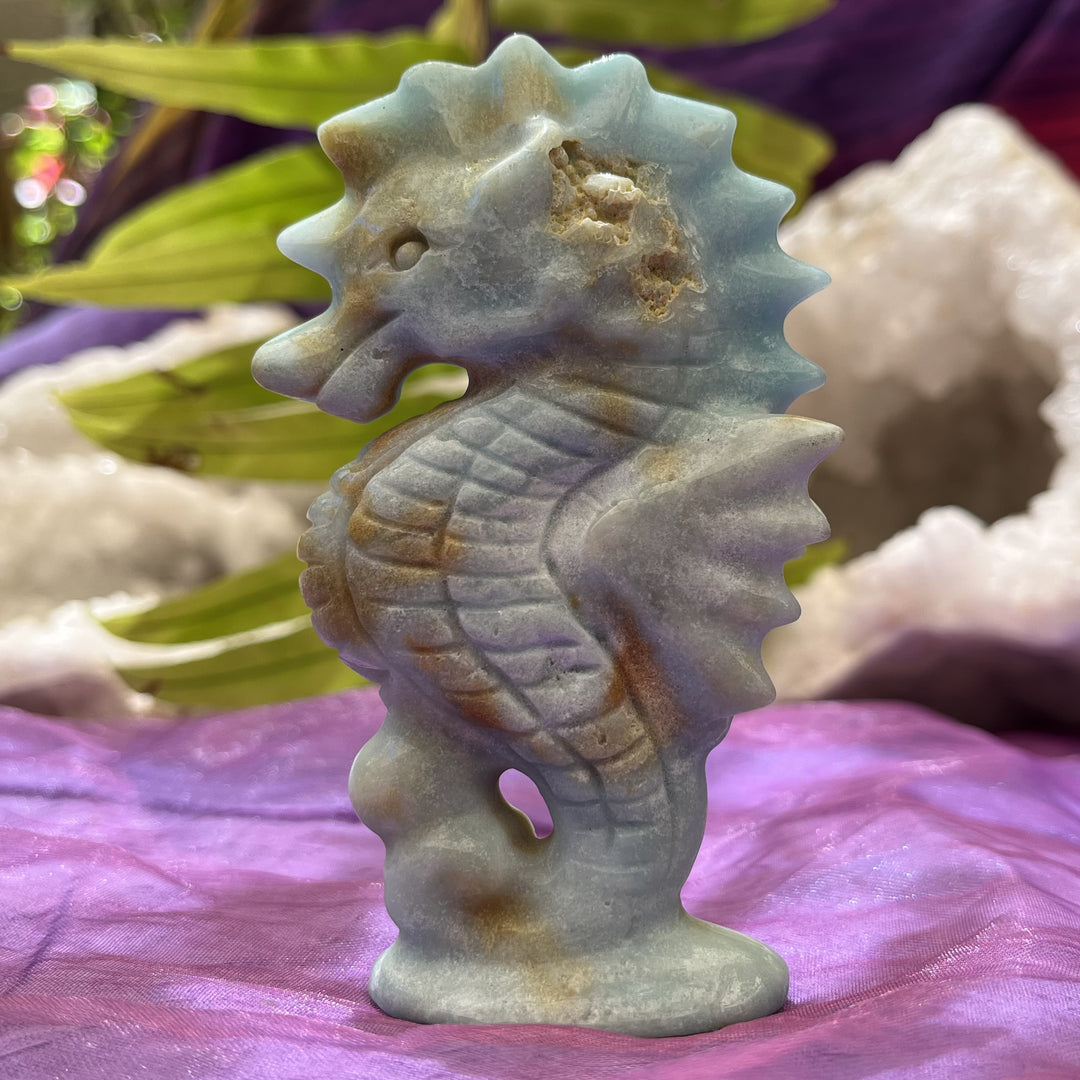 Seahorse Caribbean Calcite 10 cm