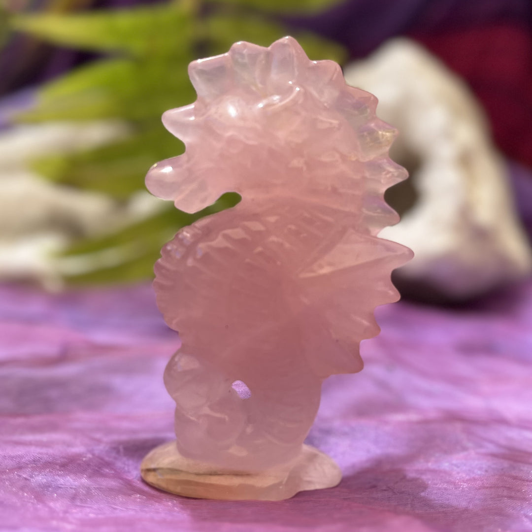 Seahorse Rose Quartz 10 cm