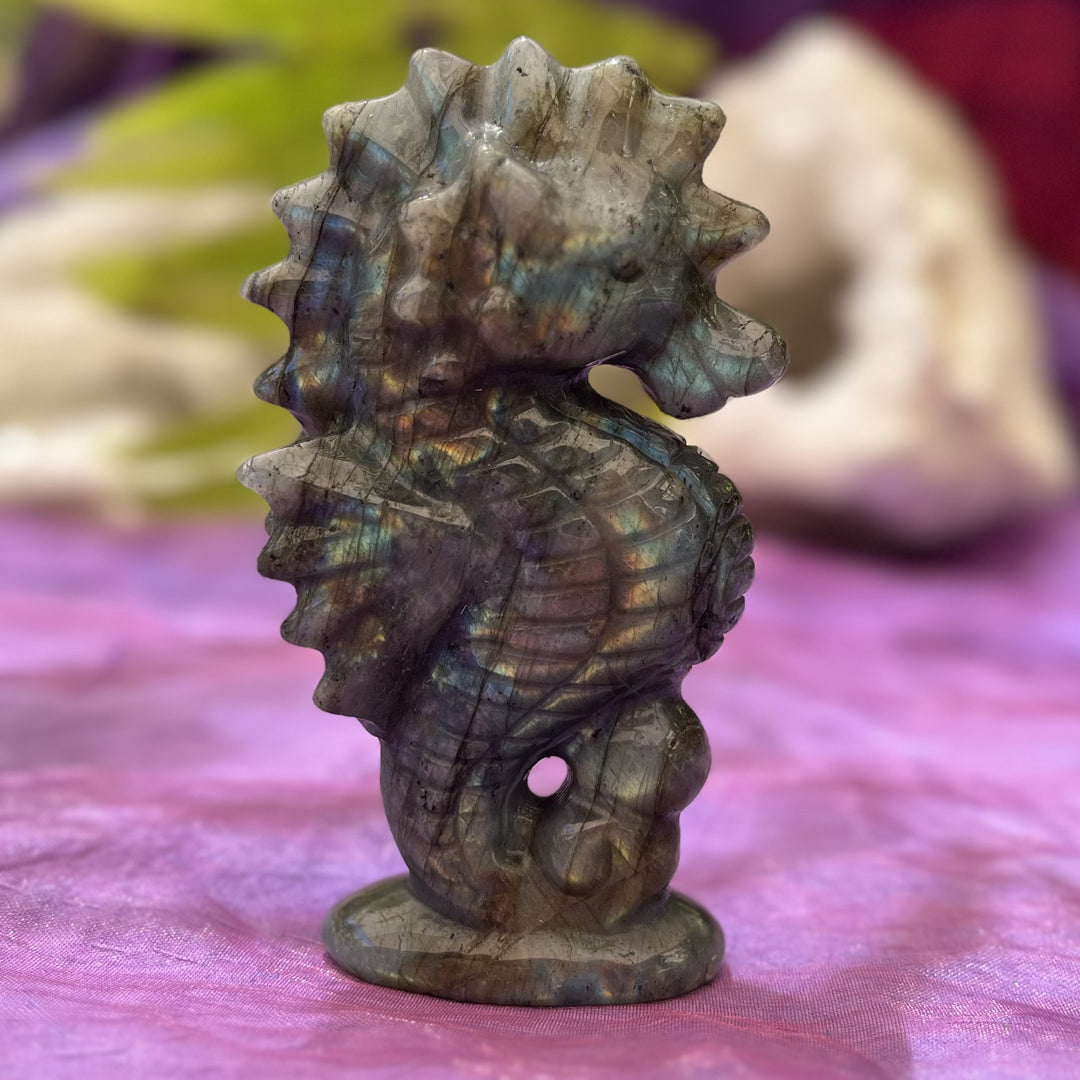 Seahorse Labradorite 10 cm