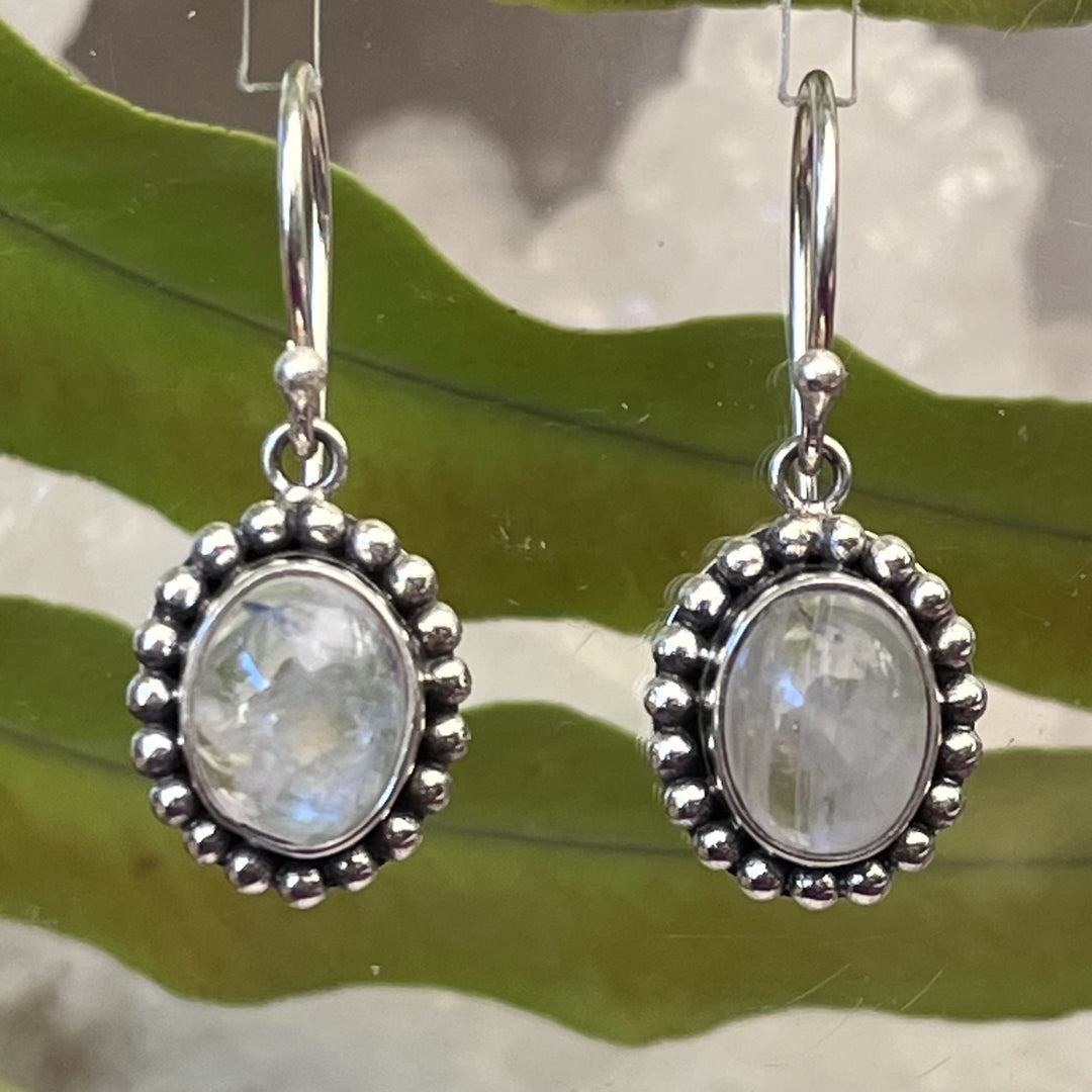 Earrings Rainbow Moonstone Oval Dotted