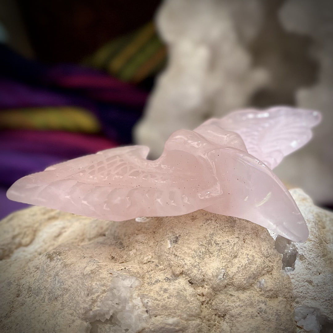 Raven Skull Winged Rose Quartz