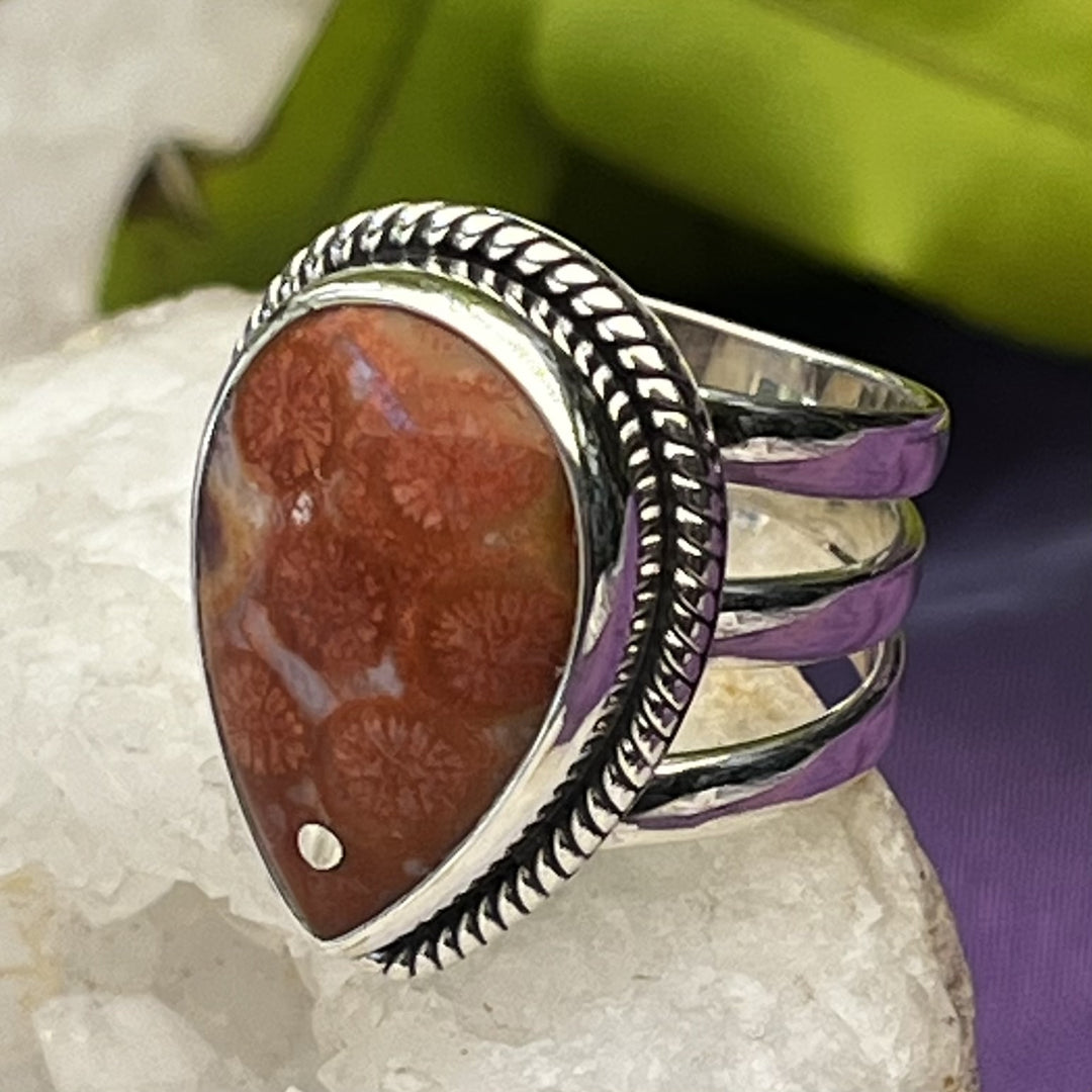 Ring Fossil Coral Teardrop 2.2 cm