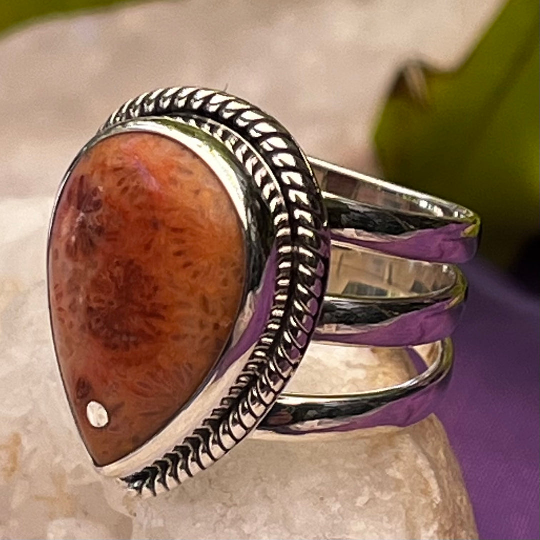 Ring Fossil Coral Teardrop 2.2 cm