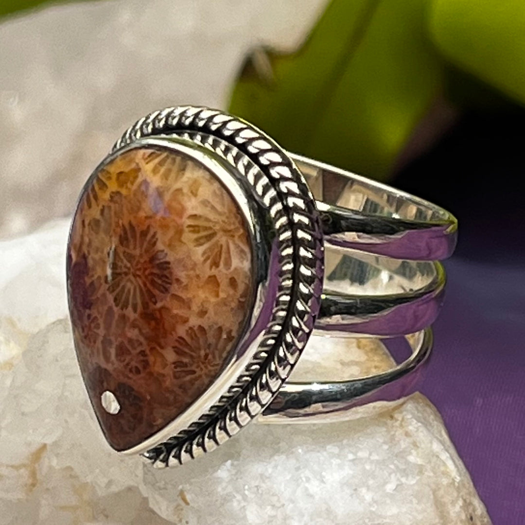 Ring Fossil Coral Teardrop 2.2 cm