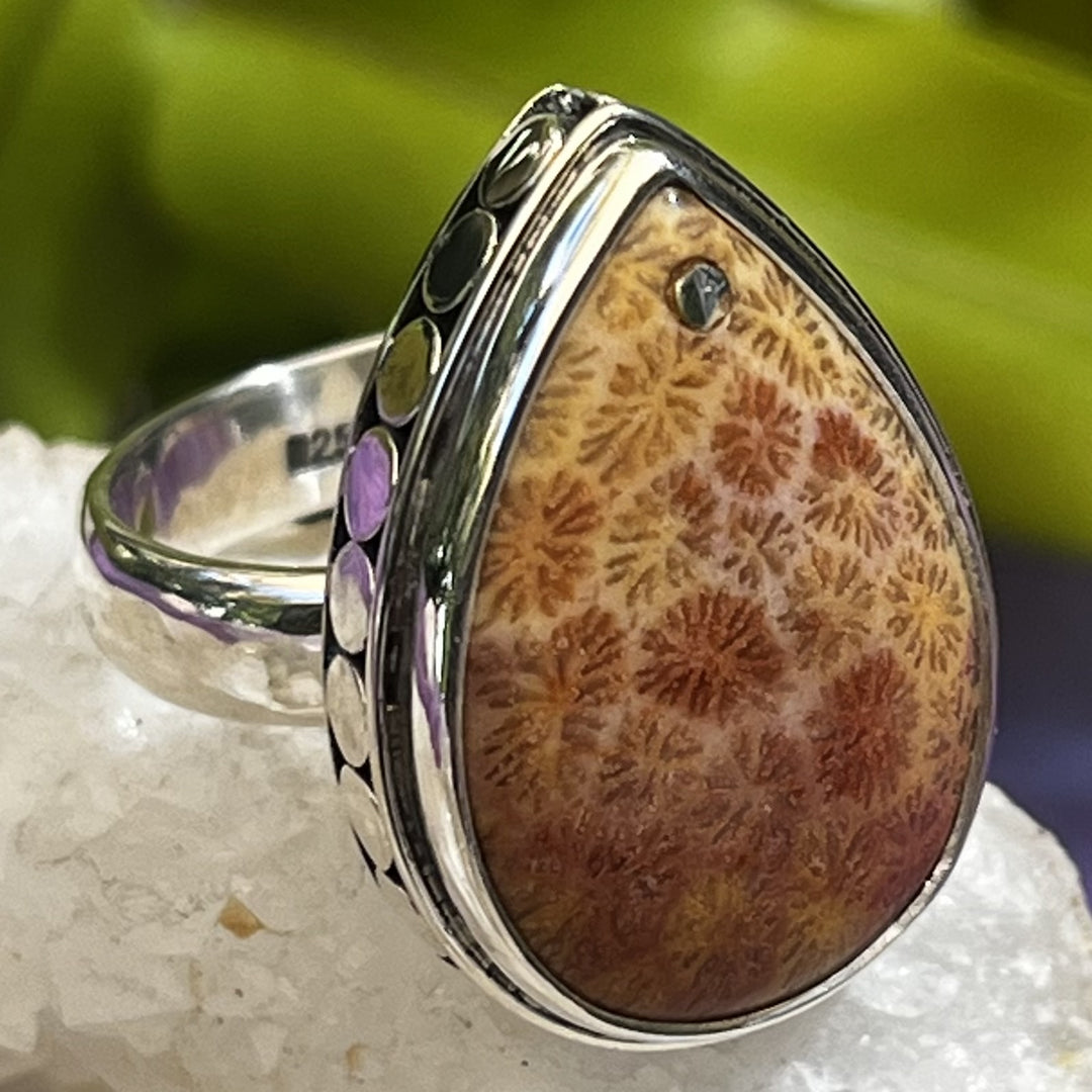 Ring Fossil Coral Teardrop 1.9 cm