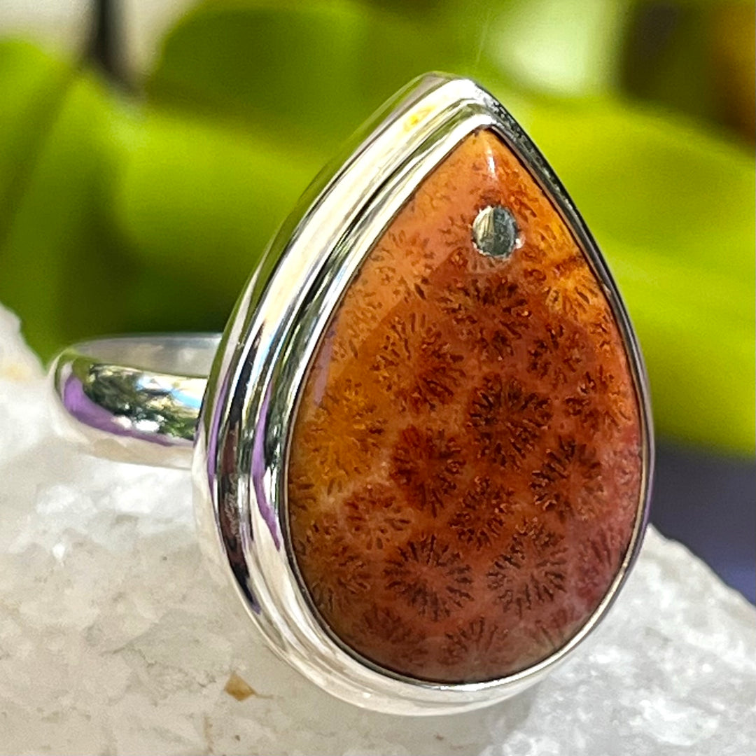 Ring Fossil Coral Teardrop 1.9 cm