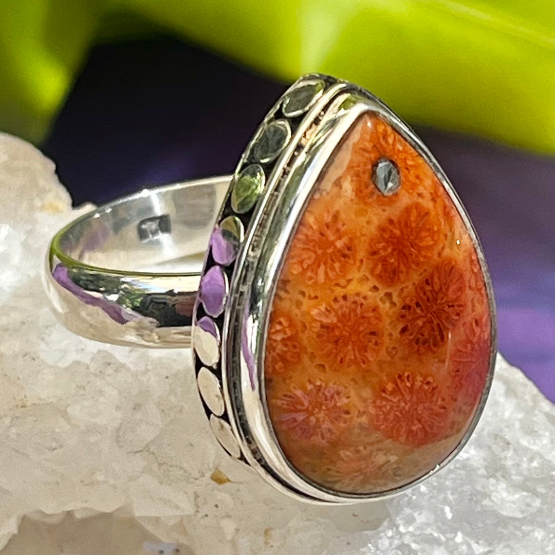 Ring Fossil Coral Teardrop 1.9 cm